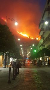 incendi boschivi