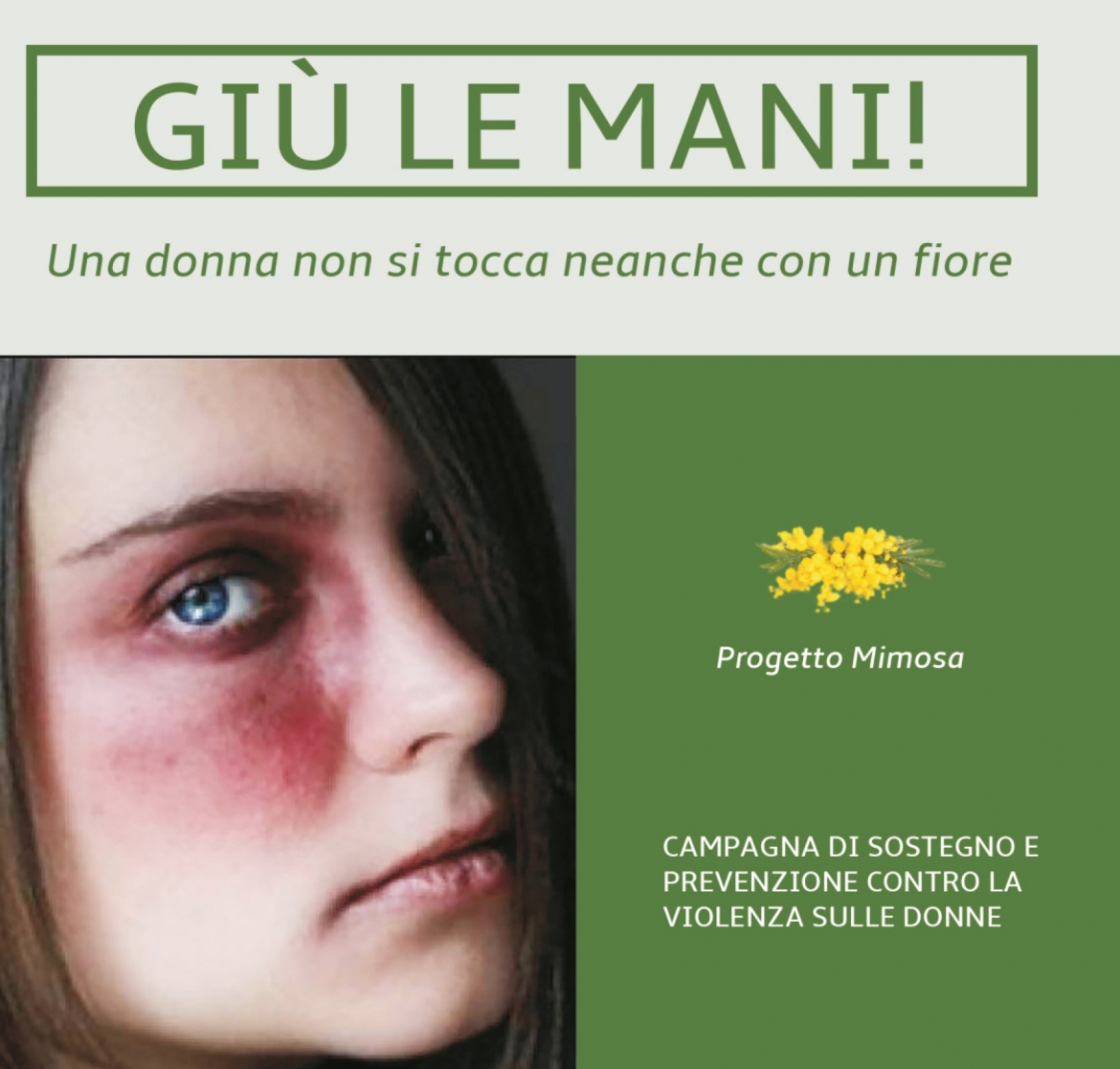 Violenza donne progetto mimosa