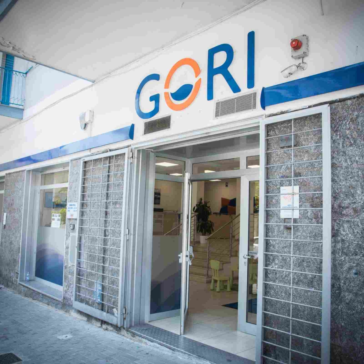 Gori
