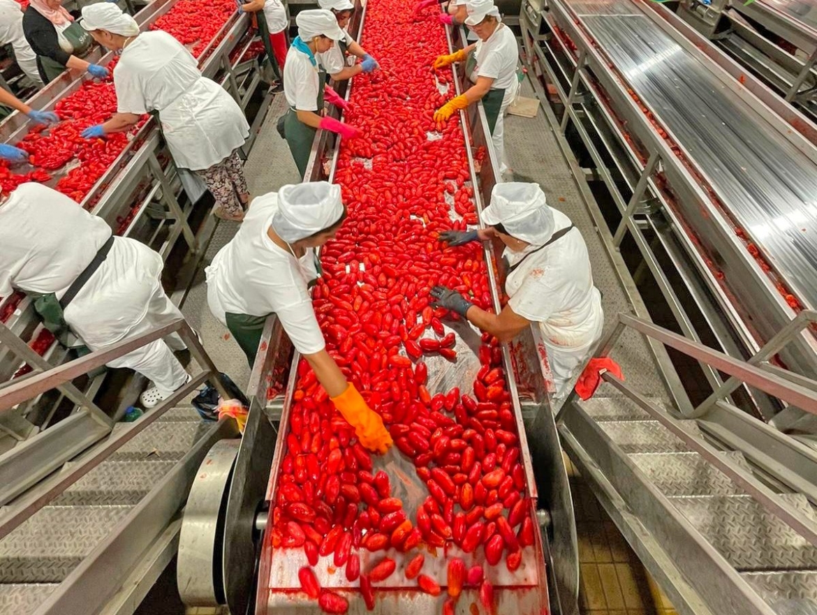 Oro rosso, “Nocera torni ad essere guida”