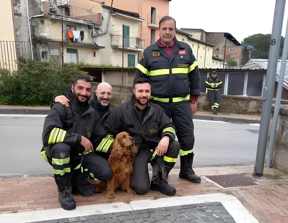 Vigili del fuoco