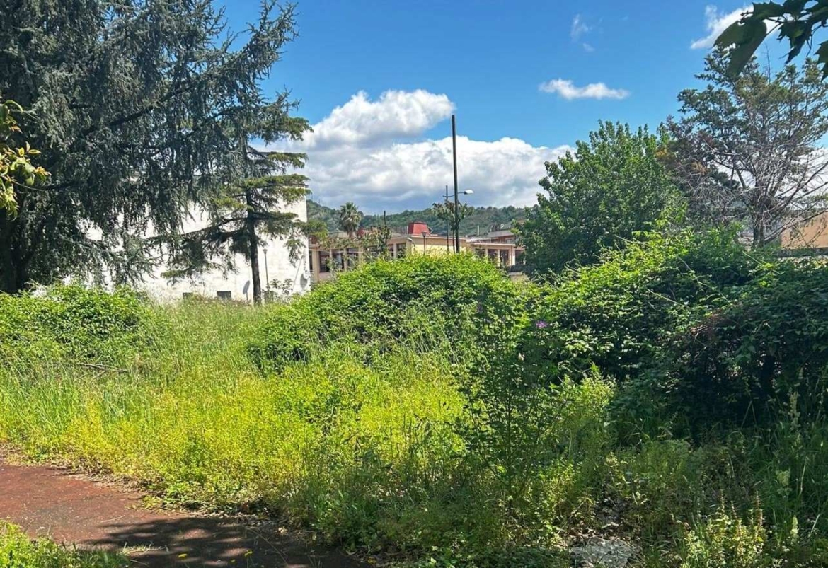 Il liceo Sensale ora è un caso politico