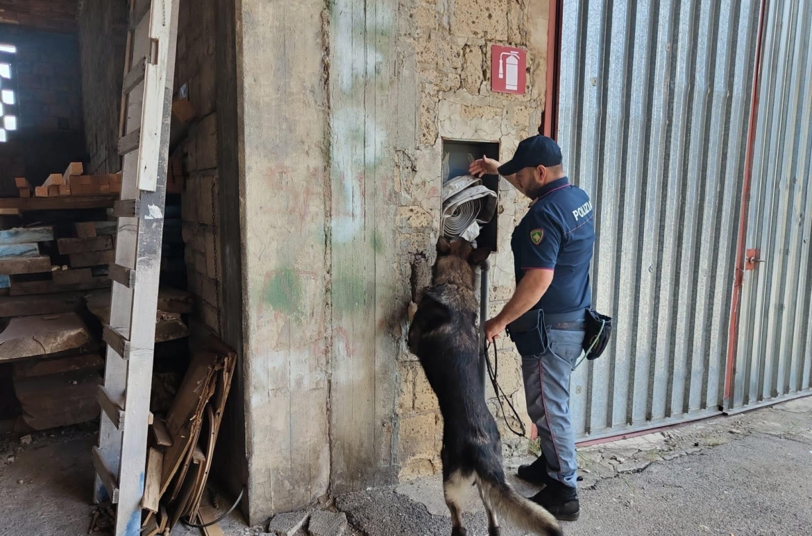 Nocera, maxi sequestro di droga