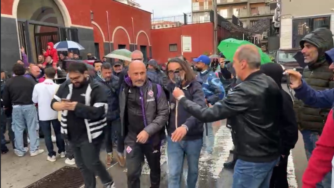 Tappa nocerina della viola