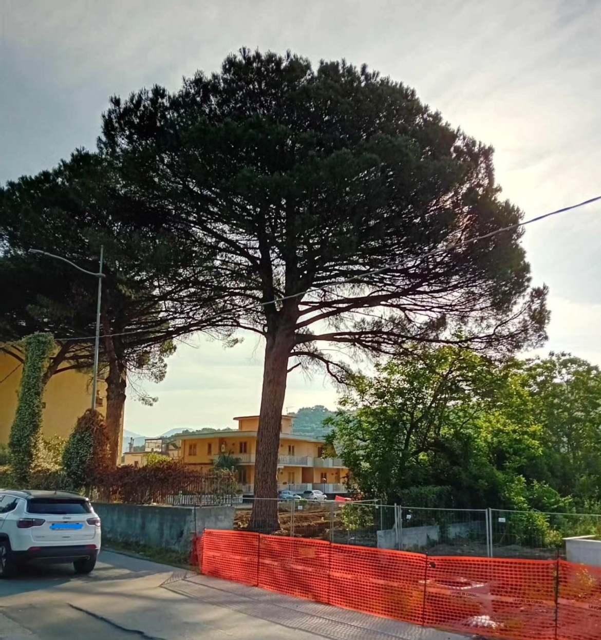 pini area industriale