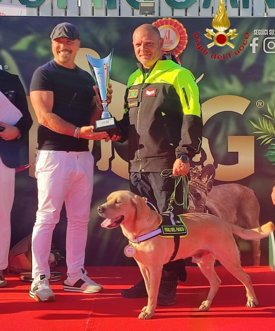 Il cane pompiere, tra gli eroi di Saviano