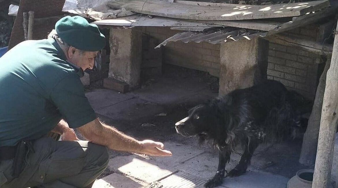 Cava, cani segregati intervento delle Guardie zoofile