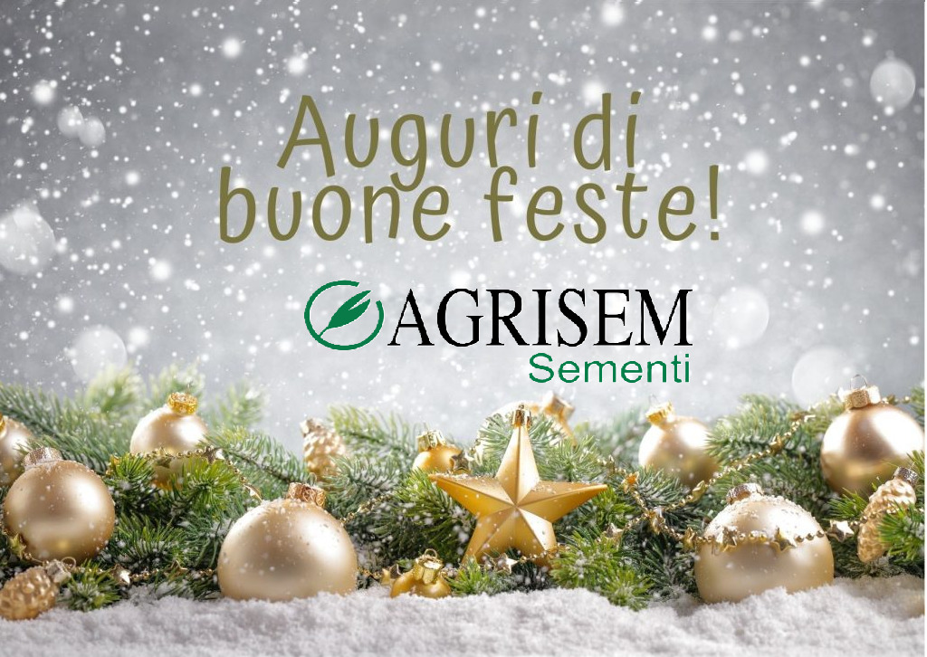 https://www.agrisemsrl.it/