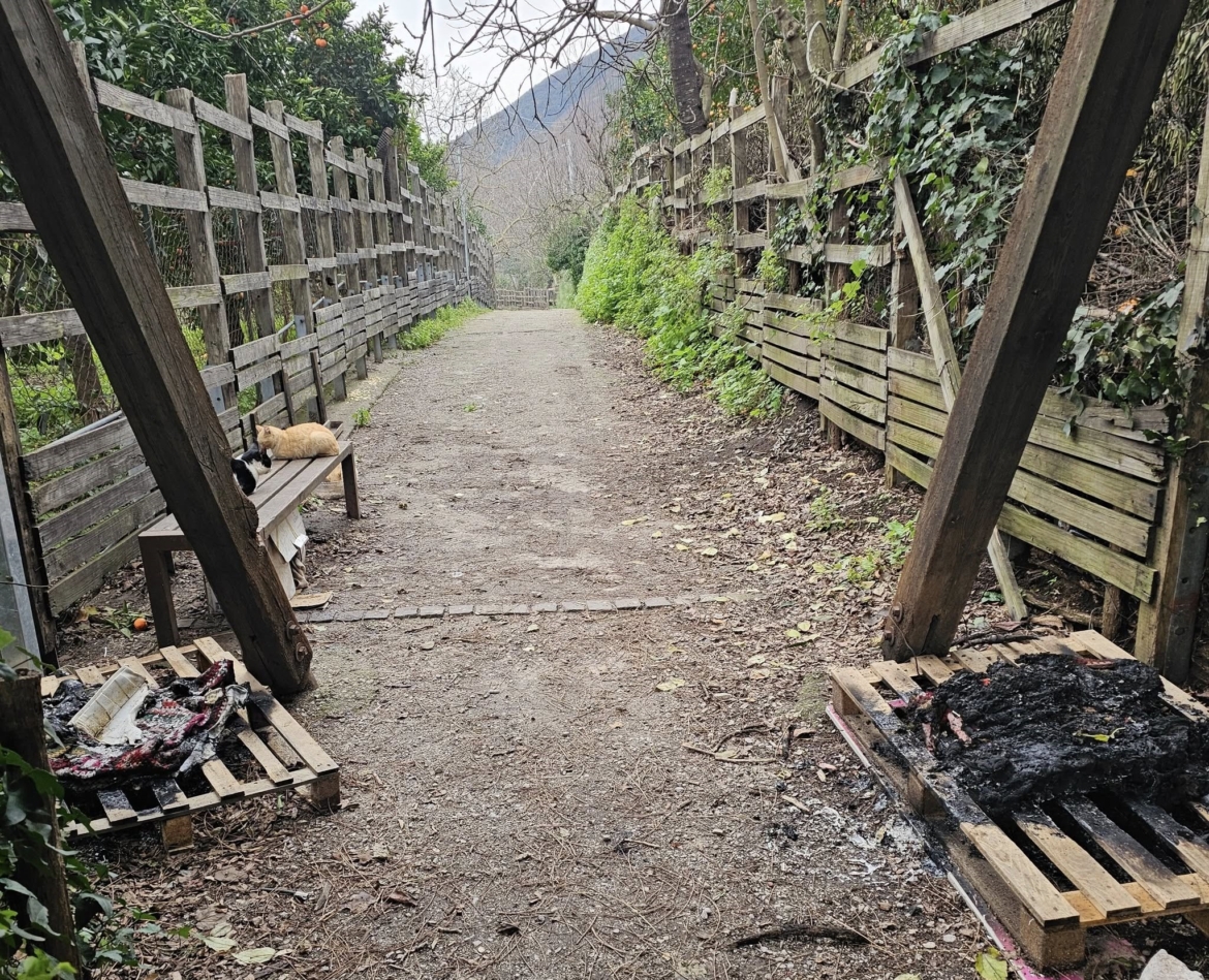 percorso della salute Nocera Inferiore