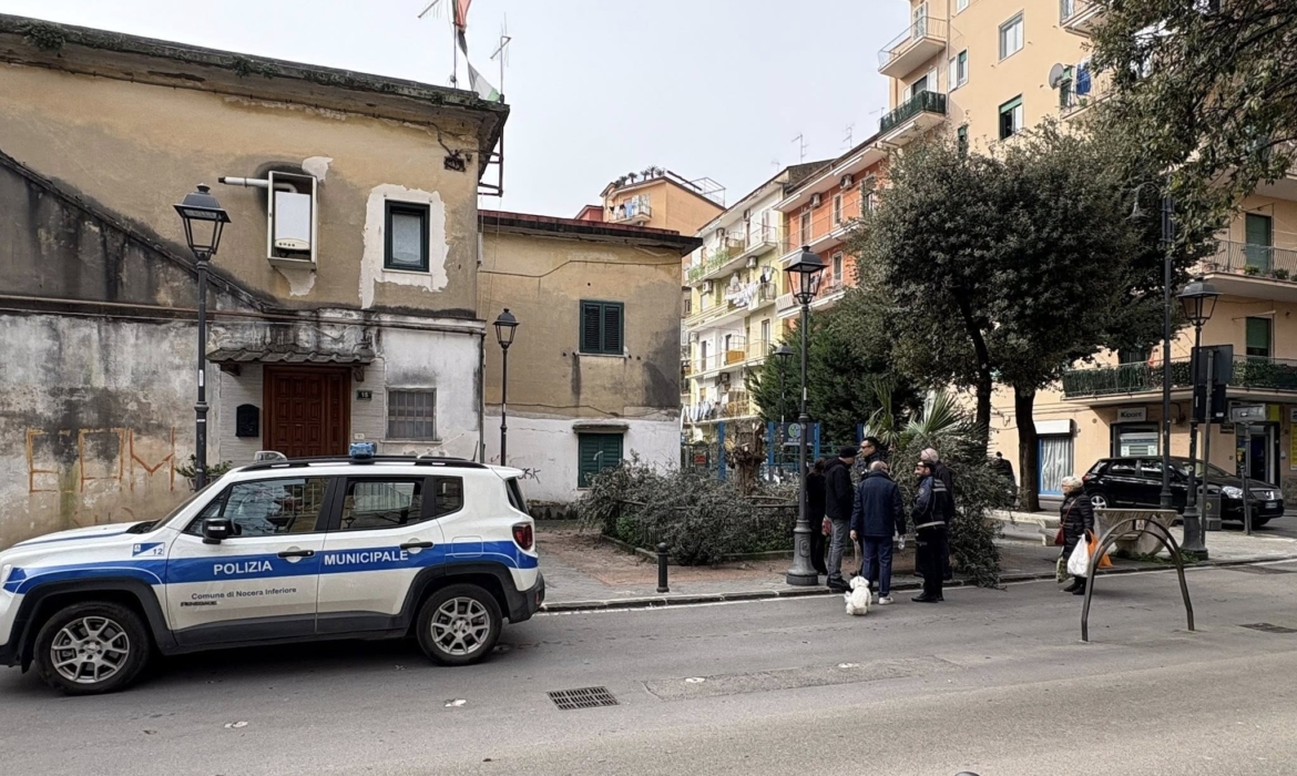 Nocera, raid con la motosega nell’aiuola comunale